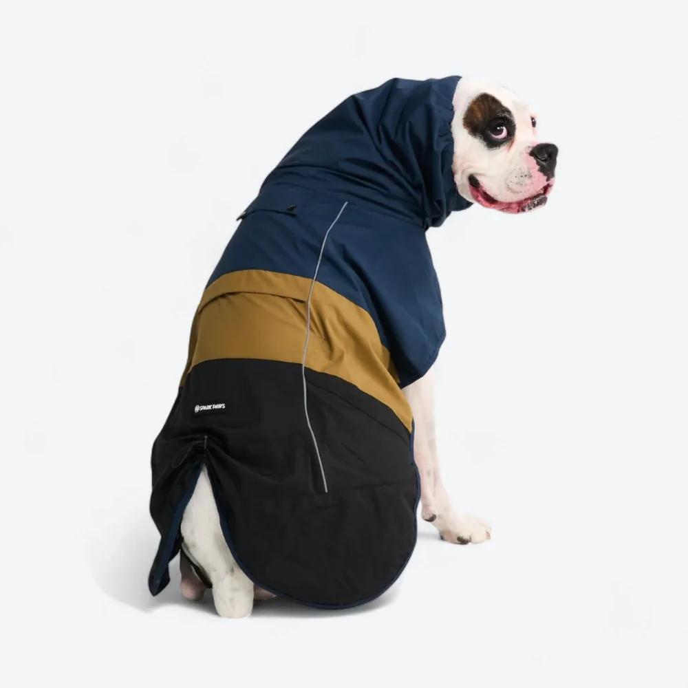 Vorschaubild 6