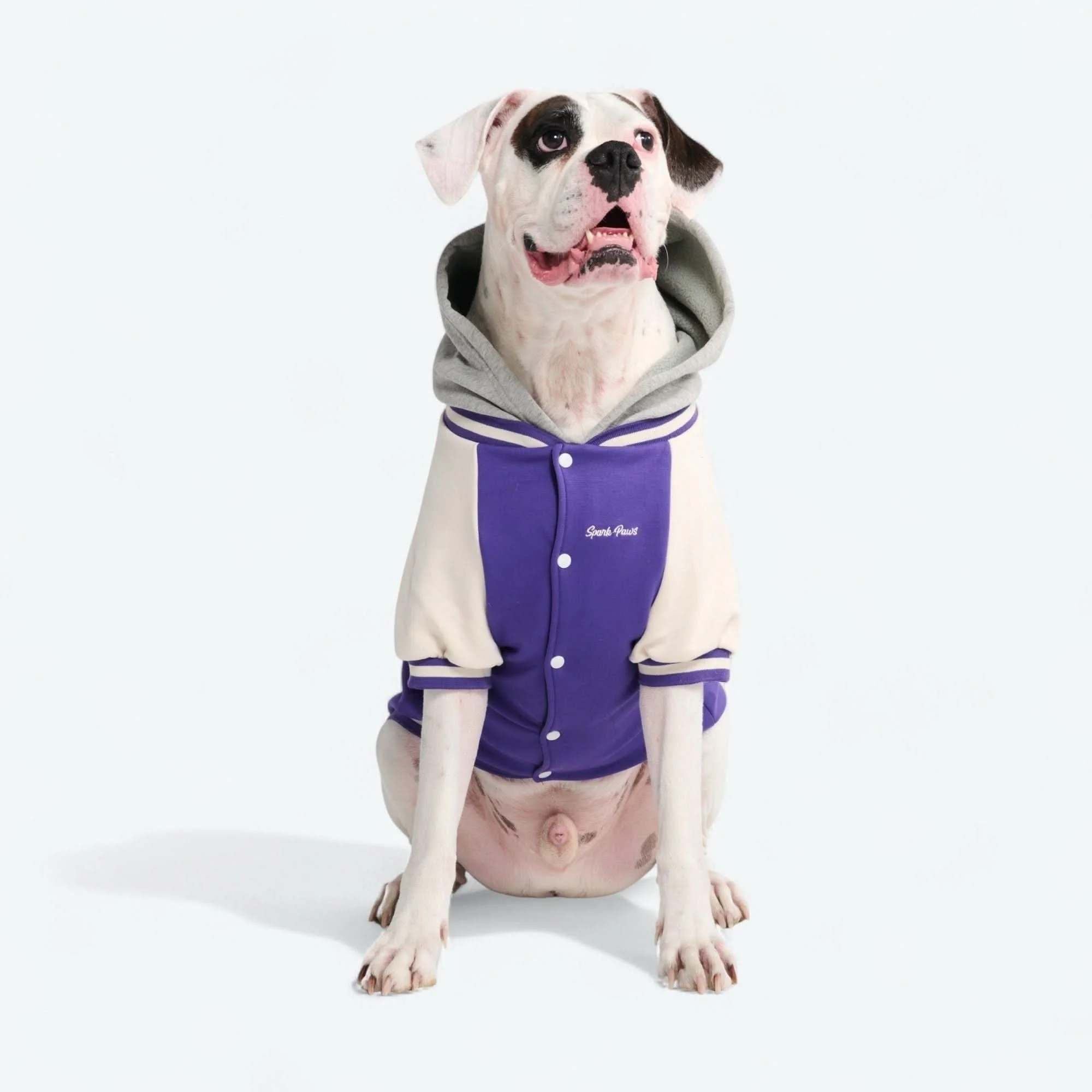 Vorschaubild 3